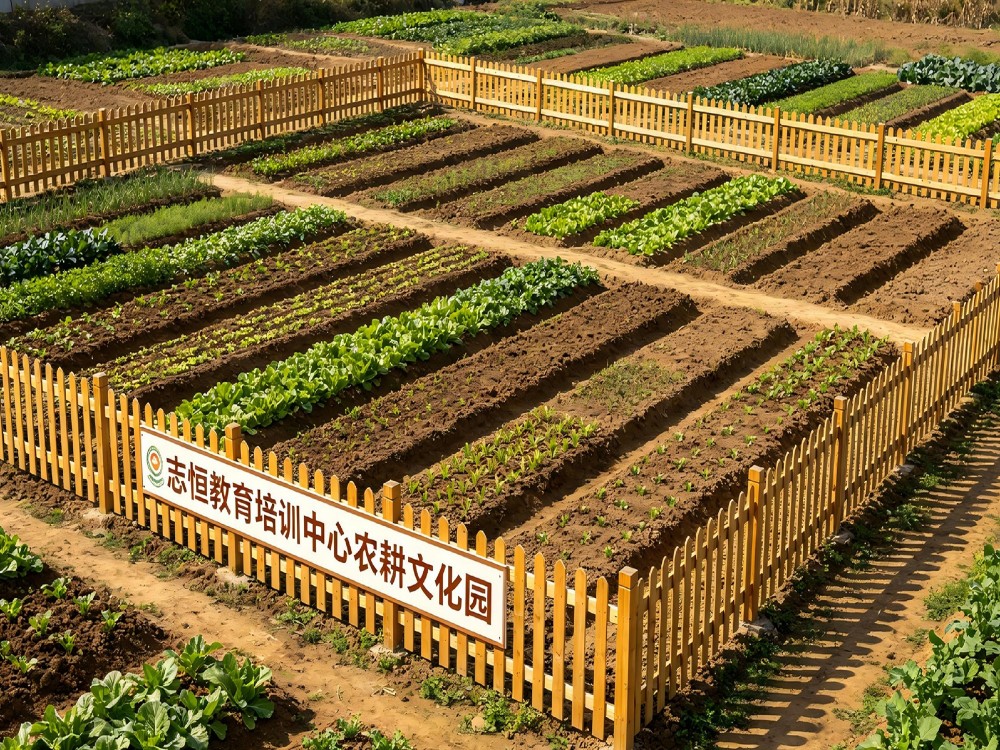 芜湖家长口碑推荐:2026年中全封闭教育学校怎么选才靠谱